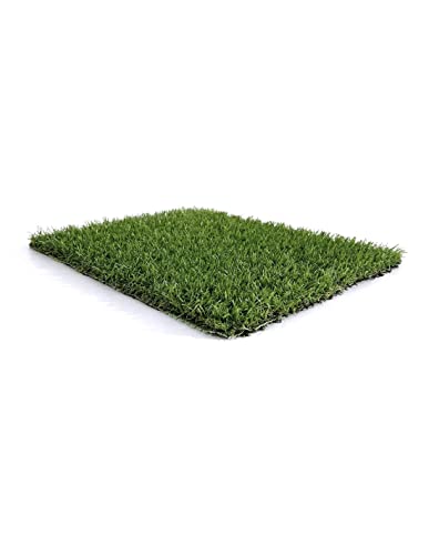 Jardin202 - Césped Artificial Terraza Plus 22mm - Rollo | Ideal para terraza y jardín. Fácil Instalación | Rollo: 2x10 Metros