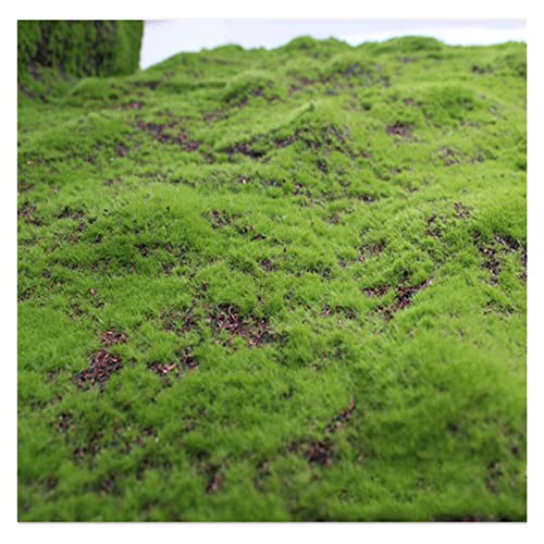 Aoisavch Alfombra Musgo Artificial, Musgo imitación Plantas Verdes Fa